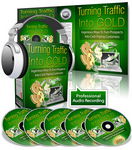 Turning Traffic Into Gold - PLR Audio & eBook