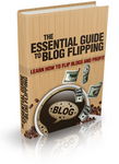 Essential Guide To Blog Flipping