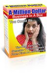 A Million Dollar Business in a Box (PLR)