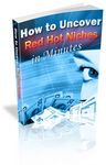 How to Uncover Red Hot Niches (PLR)