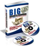 Big Business Branding on a Small Business Budget - Audio Interview (PLR)