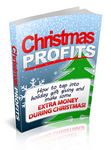 Christmas Profits (PLR)