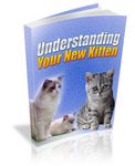 Understanding Your New Kitten (PLR)