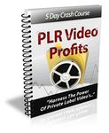 PLR Video Profits - eCourse (PLR)
