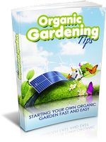 Organic Gardening Tips