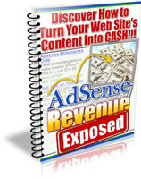 AdSense Revenue Exposed