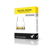 20 Identity Theft Articles - Dec 2010 (PLR)