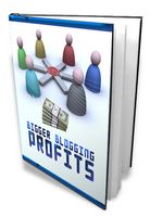 Bigger Blogging Profits (PLR)