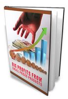 Big Profits From Small Priced Products