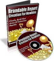 Brandable Report Creation for Newbies - Video Series (PLR)
