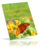 Attract Butterflies to Your Garden