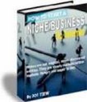 How to Start a Niche Business FREE