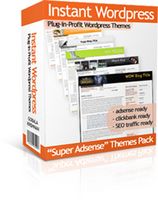 Instant WordPress AdSense Themes