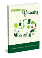 Evergreen Gardening