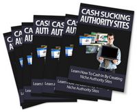 Cash Sucking Authority Sites - Newsletter Series (PLR)