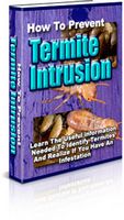 How to Prevent Termite Intrusion (PLR)