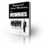 Professional Online Marketing for Newbies (PLR)