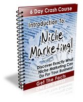 Introduction to Niche Marketing - eCourse (PLR)