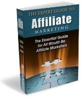 Expert Guide to Affiliate Marketing (PLR)