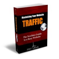 Maximizing Your Website Traffic (PLR)