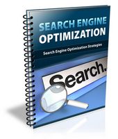 SEO 2011 (PLR)