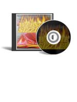 Website Sizzler (PLR)