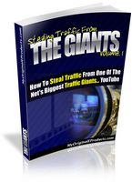 Stealing Traffic From The Giants