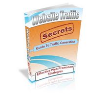 Website Traffic Secrets (PLR)