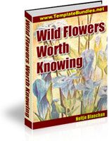 Wild Flowers Worth Knowing