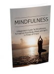 Mindfulness (eBook)