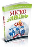 Beginners Guide to Micro Niches