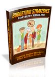 Budgeting Strategies for Busy Families - Viral eBook