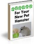 Caring for Your Hamster