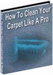 Clean Your Carpet Like a Pro