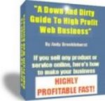 Down and Dirty Guide to Web Business
