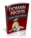 Domain Profits 2 - Viral eBook