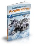 Domaining Profits Avalanche - eBook and Videos