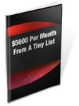 $5000 Per Month From a Tiny List (PLR)