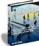 How to Start a Niche Business FREE