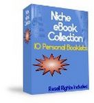 10 Niche eBook Package