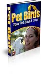 Pet Birds - Your Bird and You