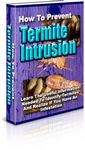 How to Prevent Termite Intrusion (PLR)