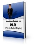 Newbies Guide to PLR (PLR)