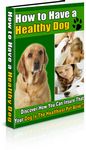 How to Have a Healthy Dog (PLR)