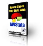 How to Check Your Stats with AWStats - Video (PLR)