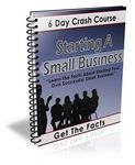 Starting a Small Business - eCourse (PLR)
