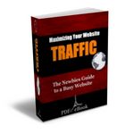 Maximizing Your Website Traffic (PLR)