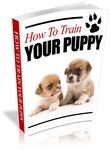 How to Train Your Puppy (PLR)