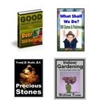 Public Domain 4 Pack (PLR)