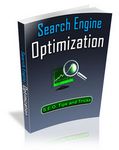 Search Engine Optimization 2  (PLR)